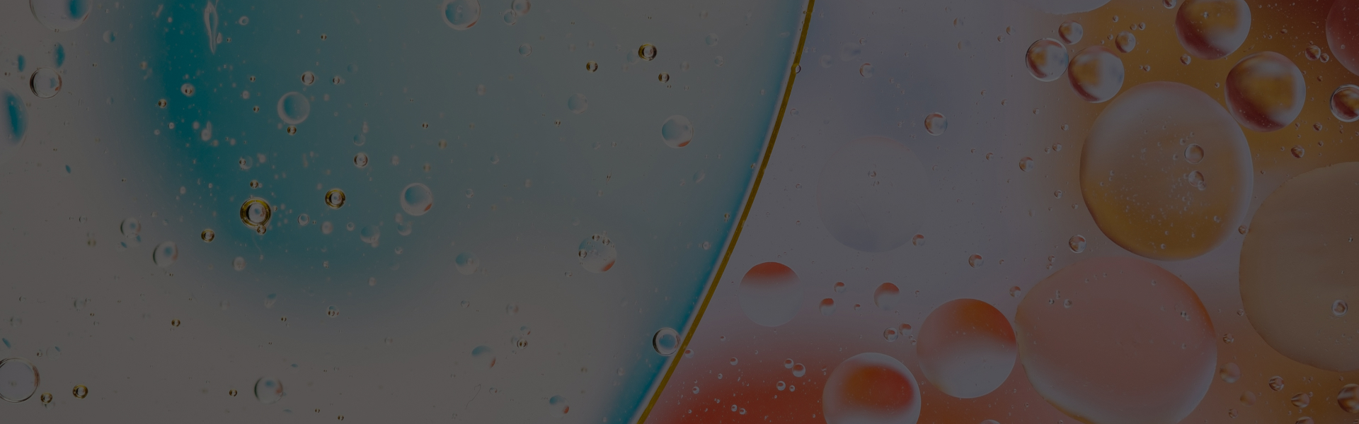 Mercapto Silane Banner